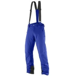 Salomon Iceglory Snowboardhose Surf The Web Herren